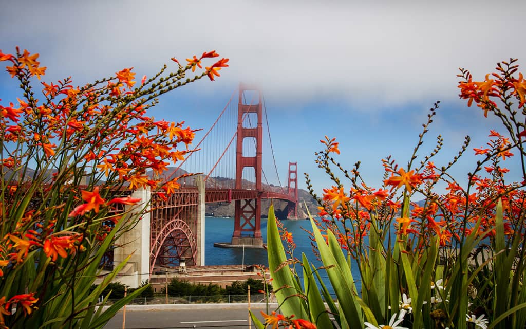 golden gate köprüsü